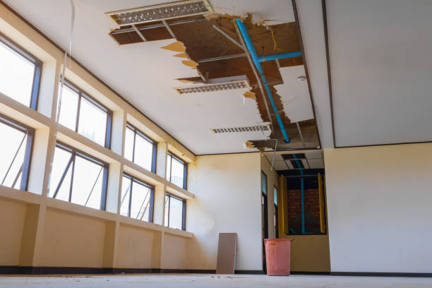  Purdy, MO Water damage restoration Pros