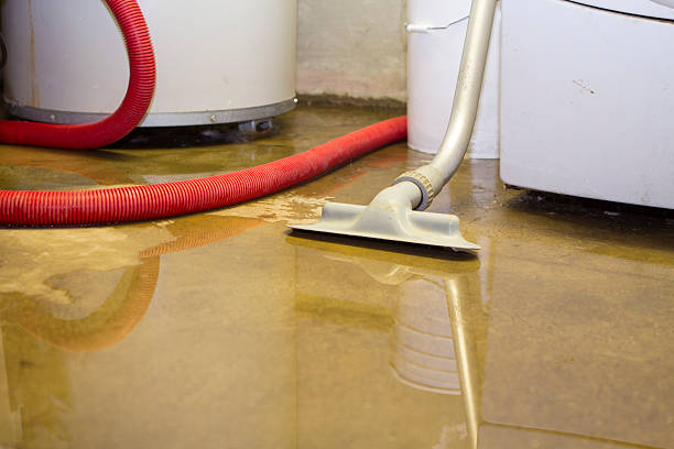 Best 24-hour water damage restoration  in Purdy, MO