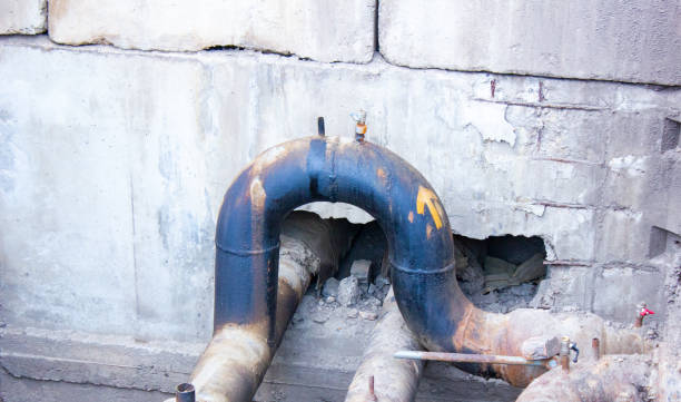 Best Local water damage restoration  in Purdy, MO
